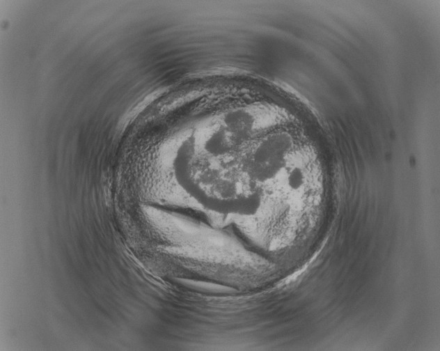 X0000076430921200610271729