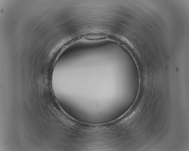 X0000076430922200610271729