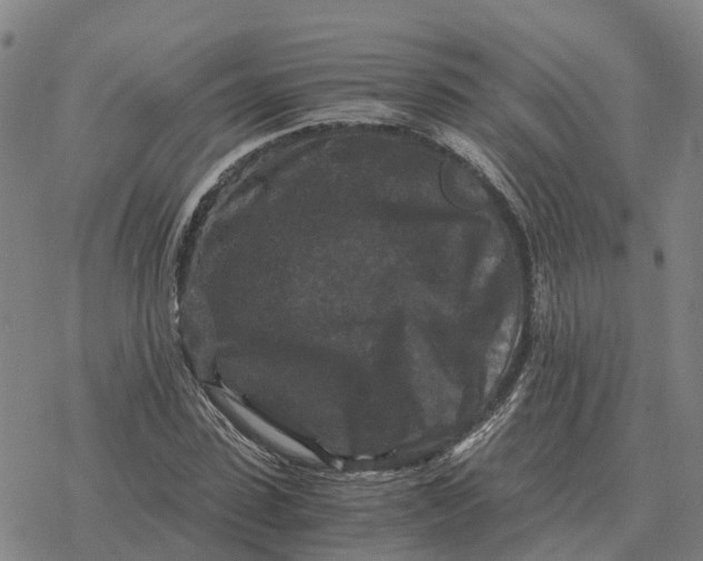 X0000076430923200610271729