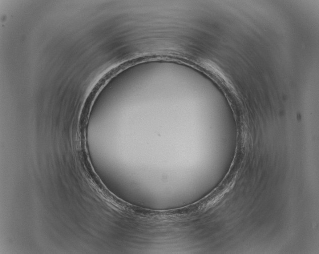 X0000076430924200610271729