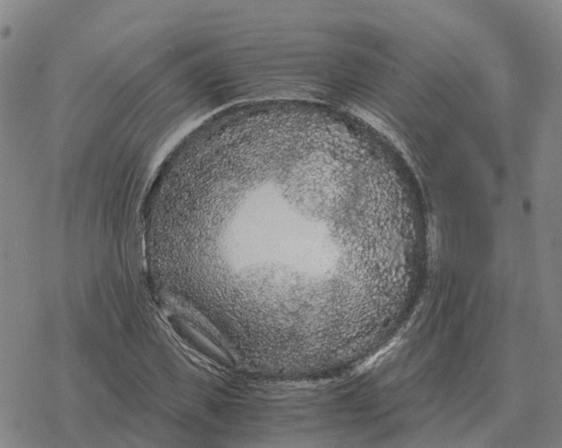 X0000076430925200610271729