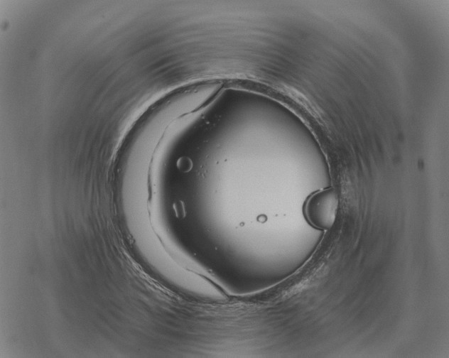 X0000076430926200610271729