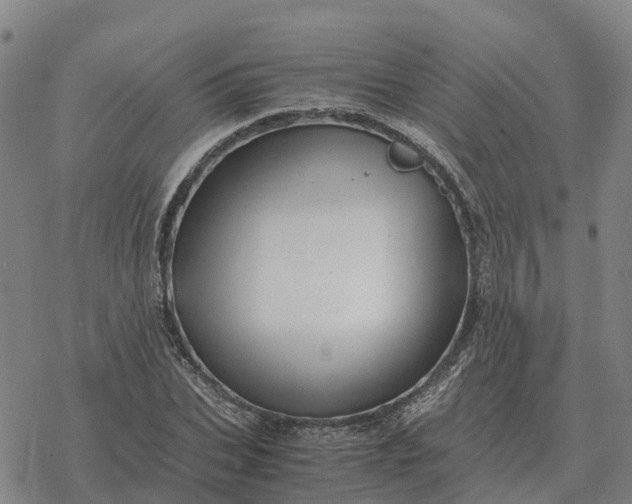 X0000076430927200610271729