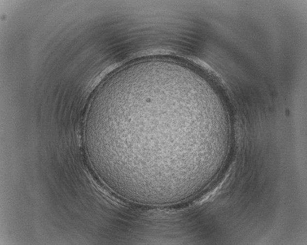 X0000076430929200610271729