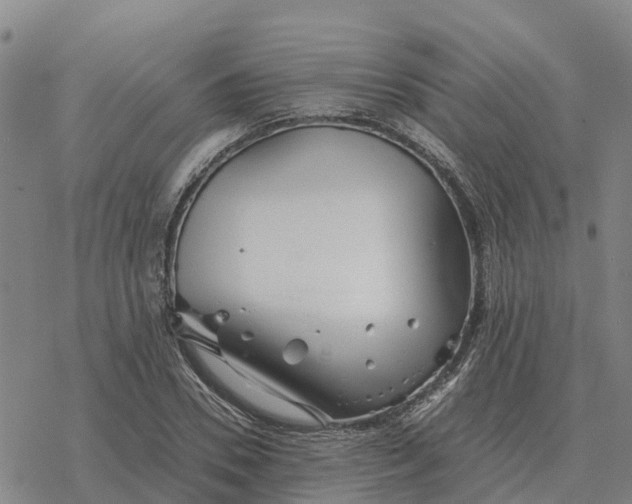 X0000076430930200610271729