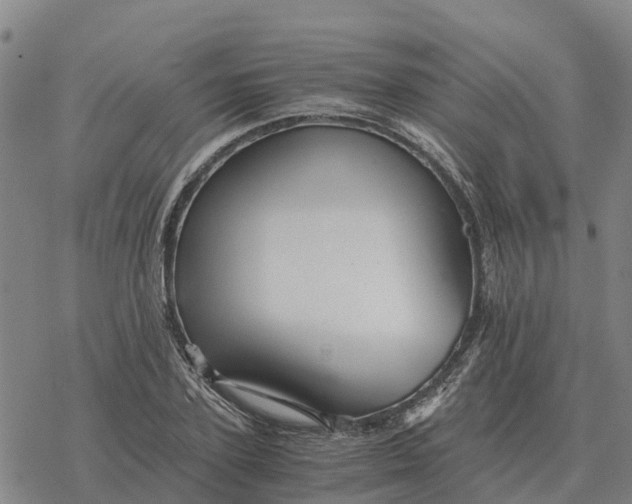 X0000076430931200610271729