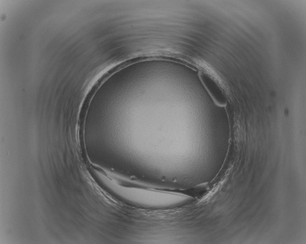 X0000076430932200610271729