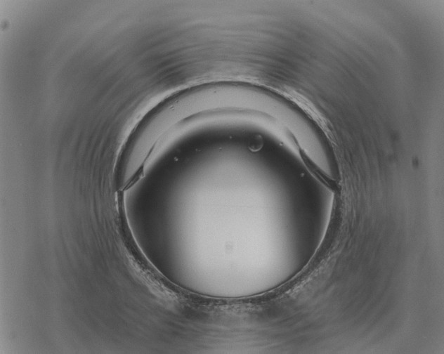 X0000076430934200610271729