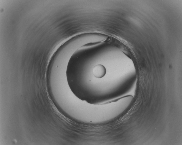 X0000076430935200610271730