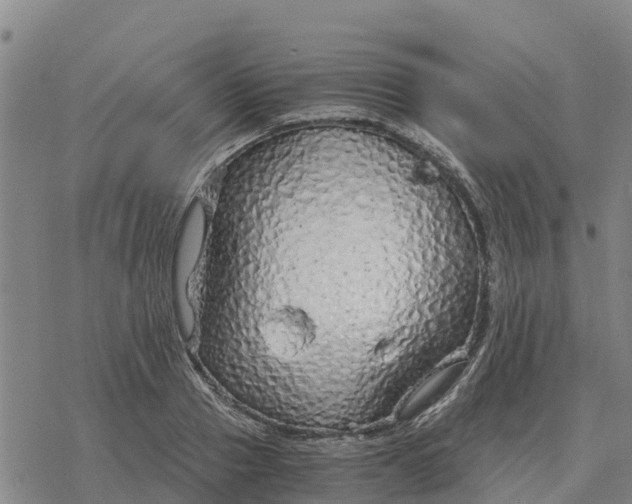 X0000076430937200610271730