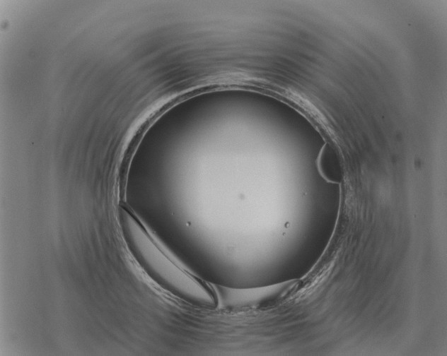 X0000076430939200610271730