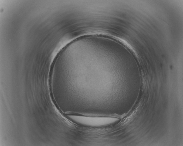 X0000076430943200610271730