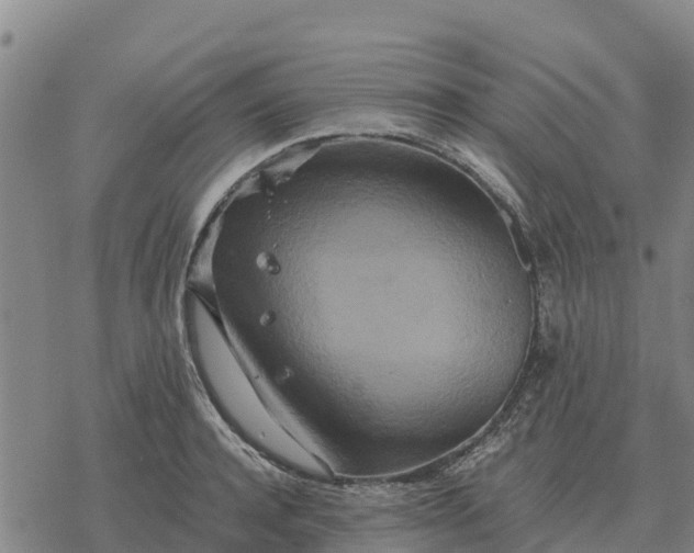 X0000076430944200610271730