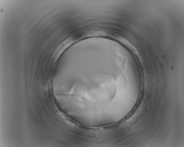 X0000076430945200610271730