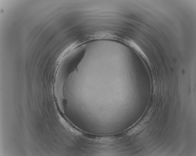 X0000076430946200610271730