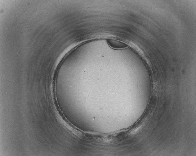 X0000076430947200610271730