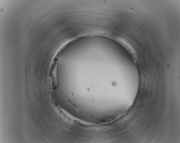 X0000076430948200610271730