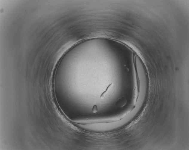 X0000076430949200610271730