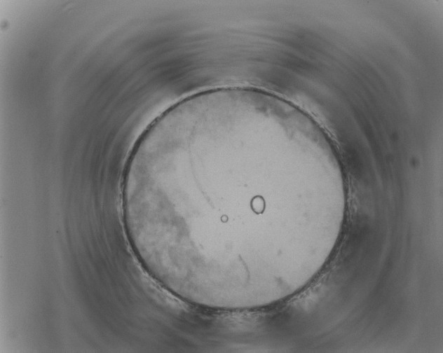 X0000076430950200610271730