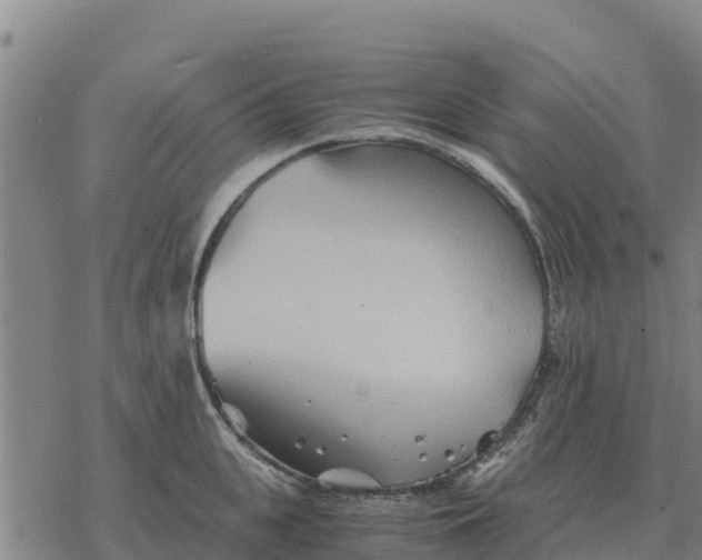 X0000076430951200610271730