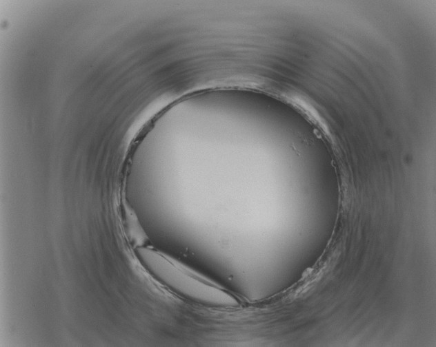 X0000076430952200610271730