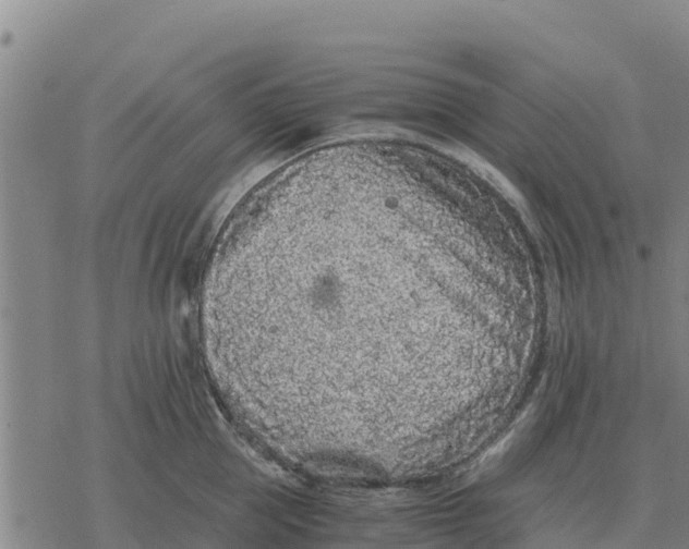 X0000076430953200610271730