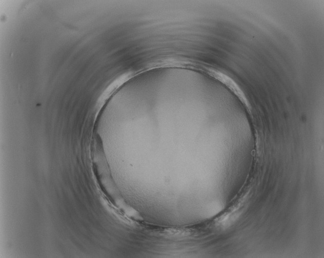 X0000076430954200610271730