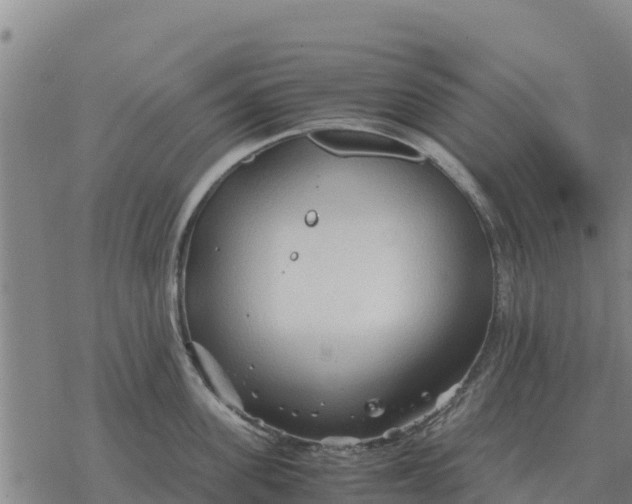 X0000076430955200610271730