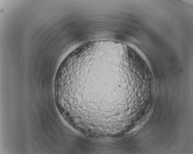 X0000076430957200610271730