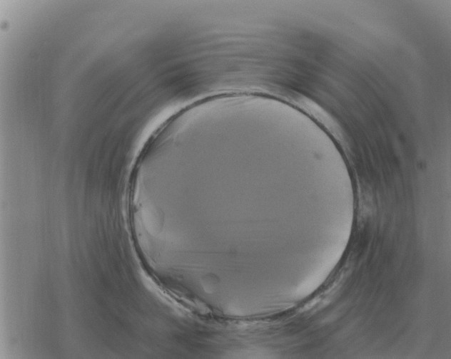 X0000076430958200610271730