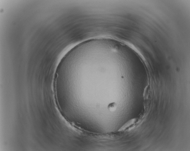 X0000076430959200610271730