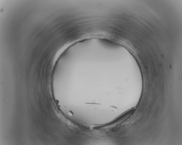 X0000076430960200610271730