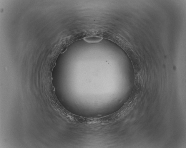 X0000076430961200610271729