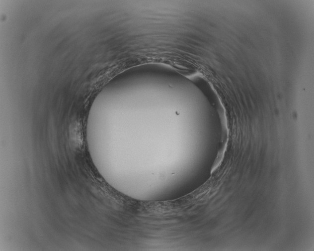 X0000076430962200610271729