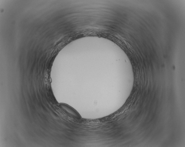 X0000076430964200610271729