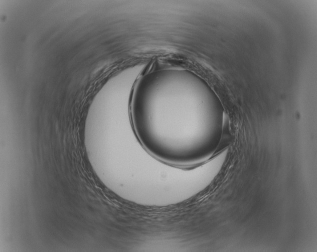 X0000076430965200610271729