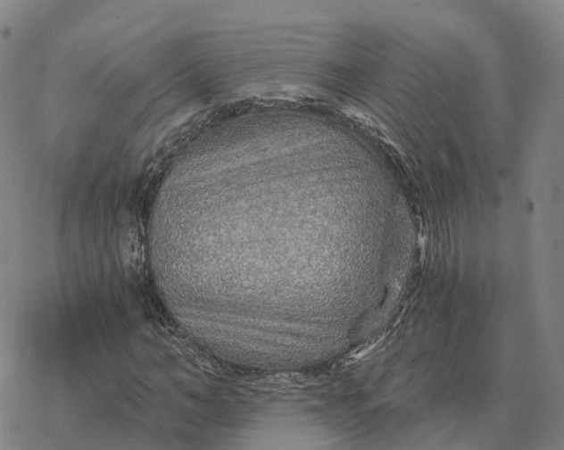 X0000076430966200610271729