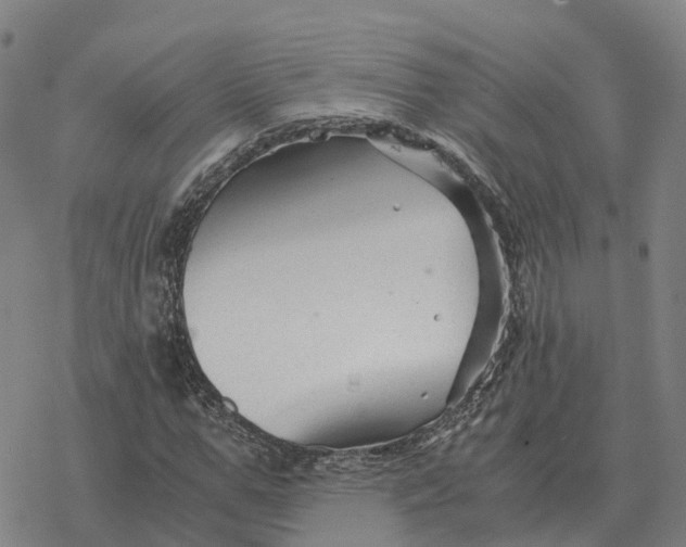 X0000076430967200610271729