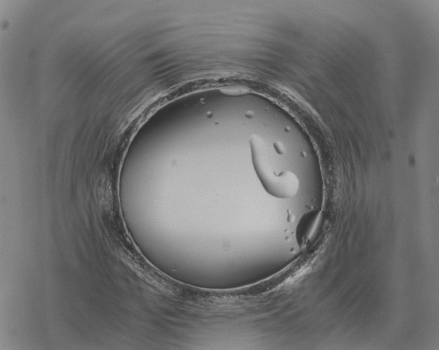 X0000076430969200610271729