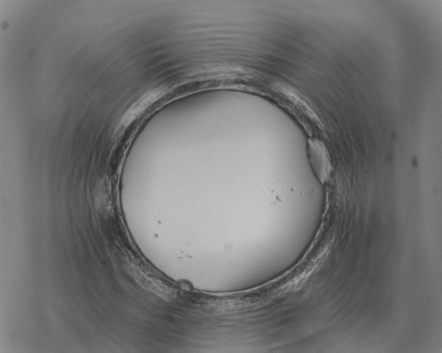 X0000076430970200610271729