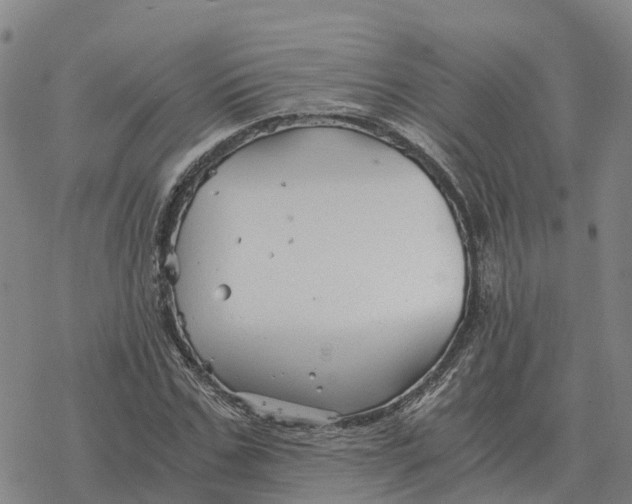 X0000076430971200610271729