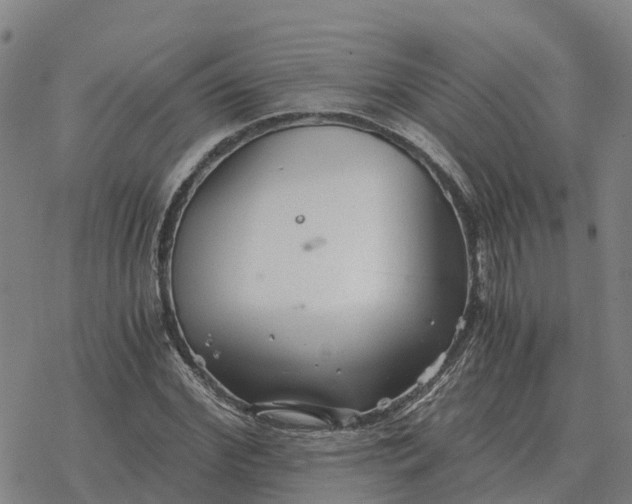 X0000076430972200610271729