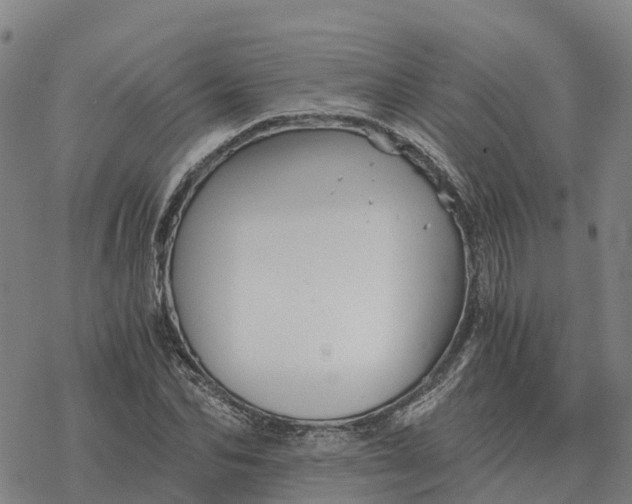 X0000076430974200610271729