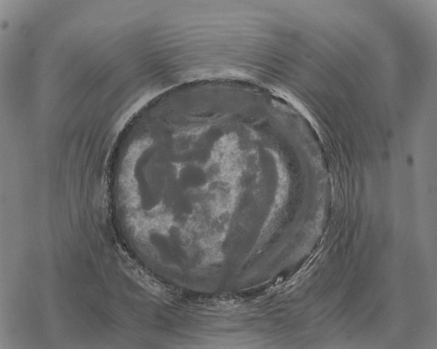 X0000076430975200610271729