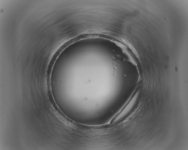 X0000076430976200610271729