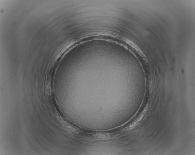 X0000076430977200610271729