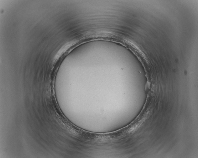 X0000076430978200610271729