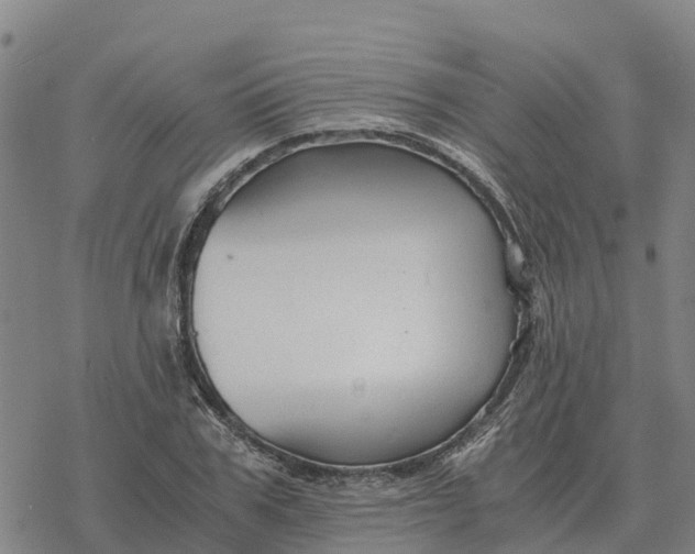 X0000076430979200610271729