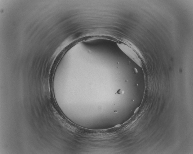 X0000076430980200610271729