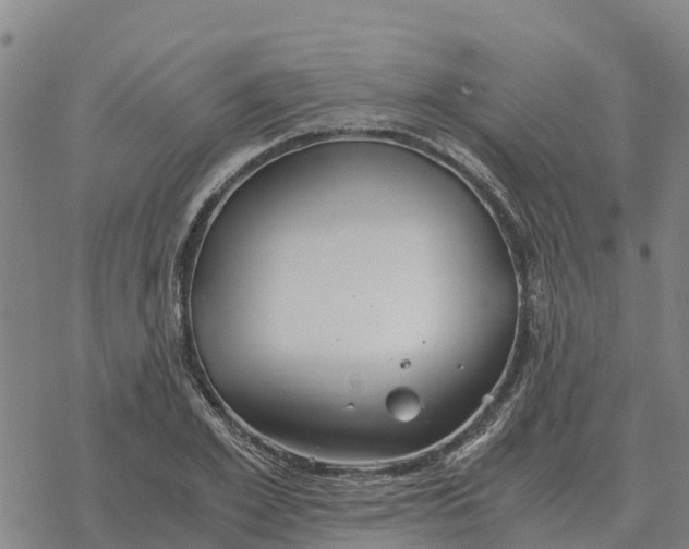 X0000076430981200610271729